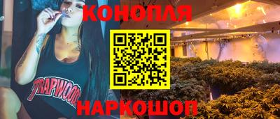 индика Гагарин