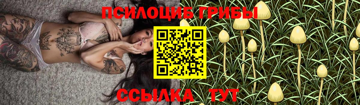 Галлюциногенные грибы прущие грибы  Вход с VPN  Грозный 