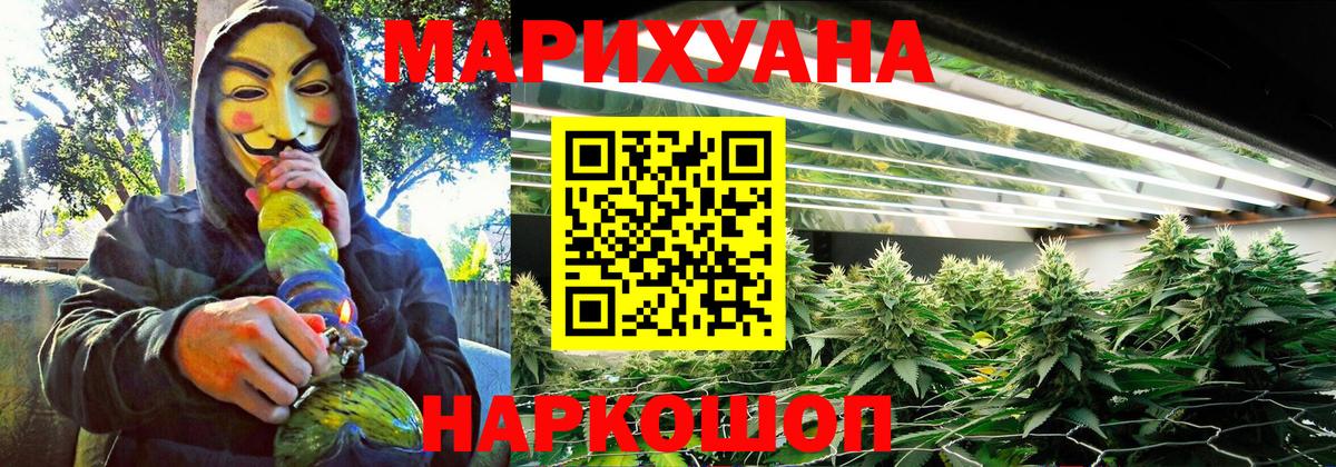 Бошки марихуана тримм  Вход с VPN  Каннабис конопля  Бошки Шишки Amnesia  Грозный 